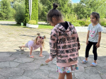 Игротека